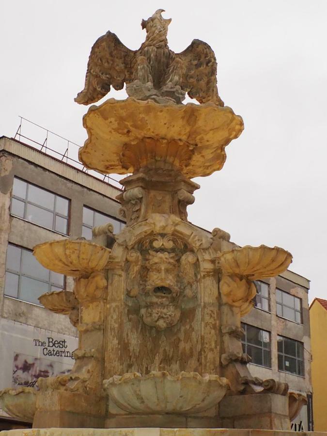שצ'צ'ין Kghn Apartments Tkacka מראה חיצוני תמונה